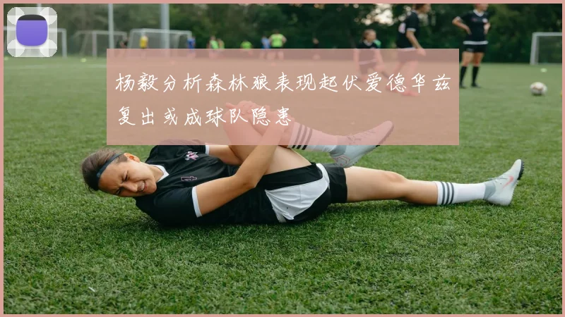 杨毅分析森林狼表现起伏爱德华兹复出或成球队隐患